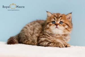 Winona Ryder Royal Moore 03